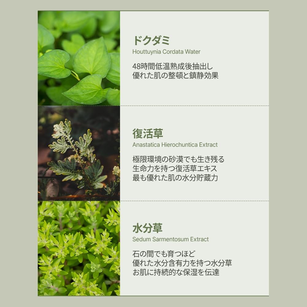 Houttuynia Cordata 88 Soothing Serum