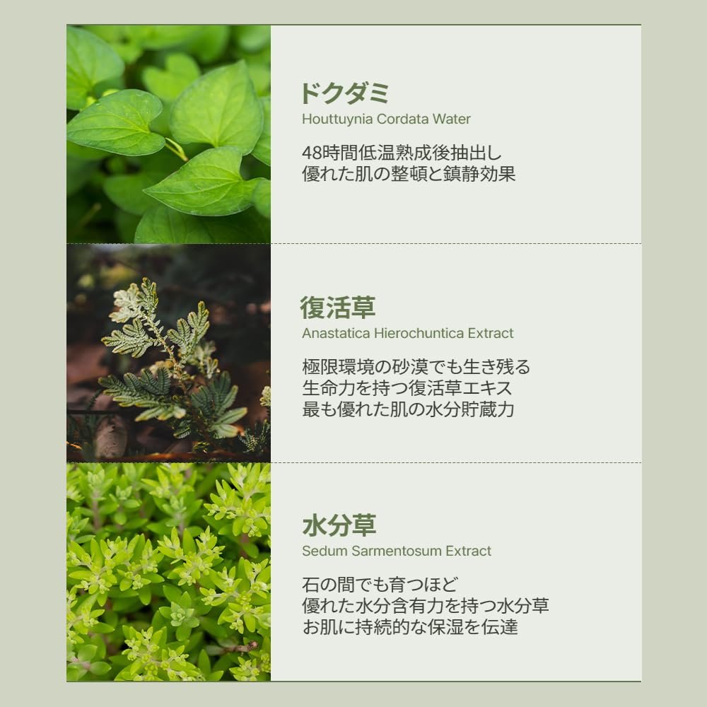 Houttuynia Cordata 88 Toner