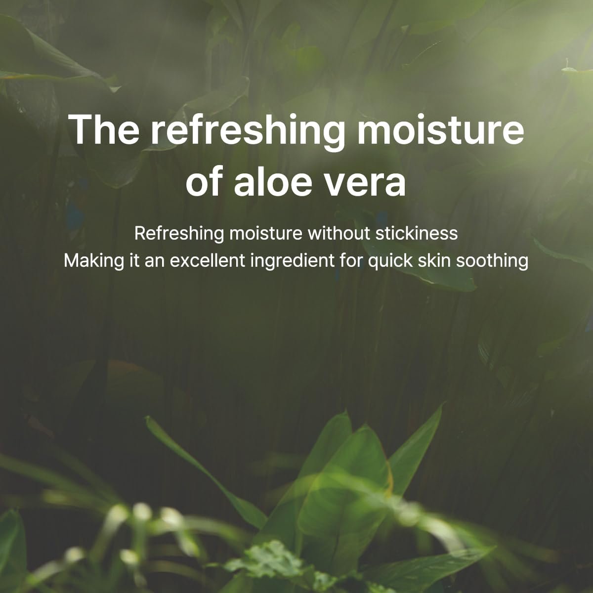 Yuja Anti-dark Spot Serum