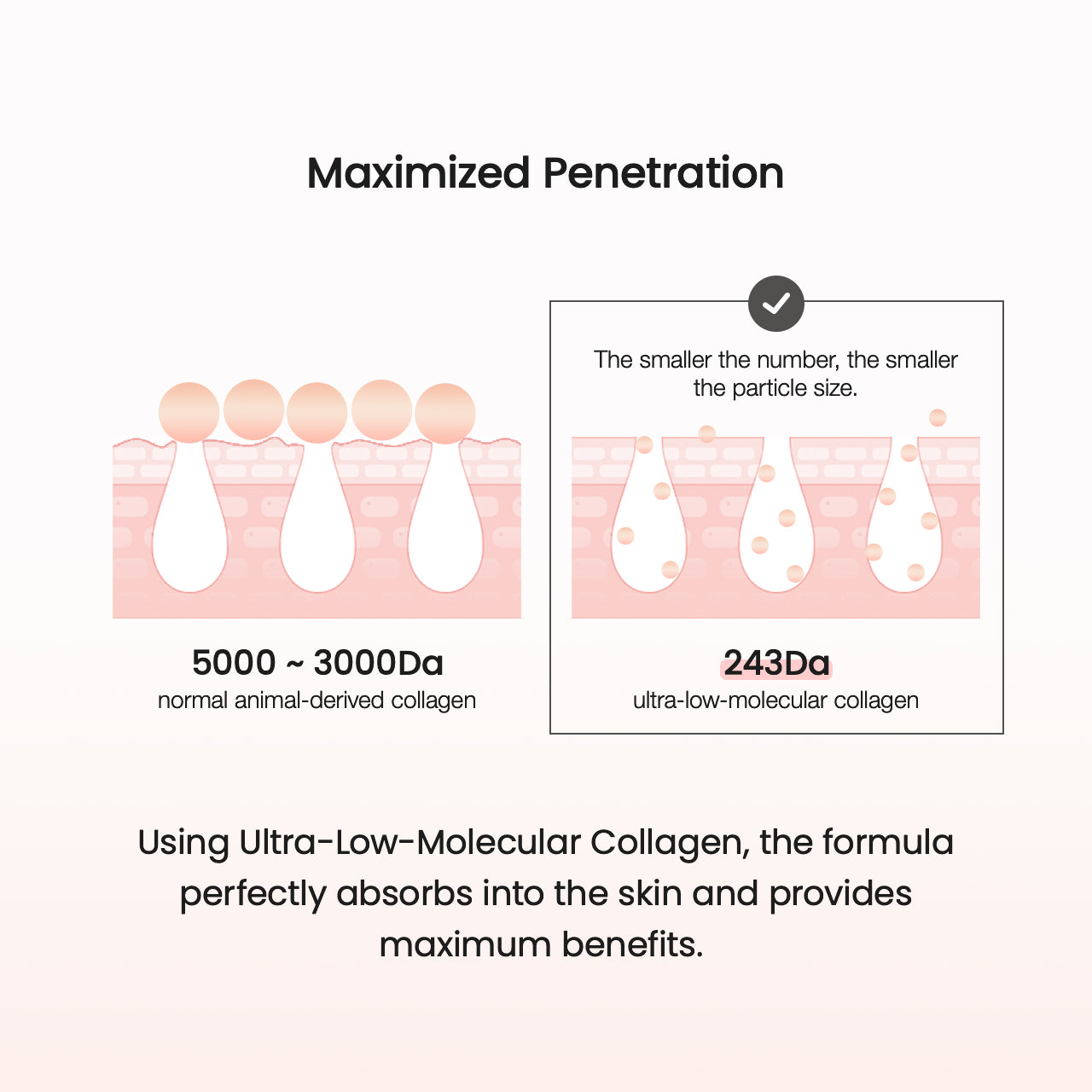 Pore Tightening Collagen Cream 50ml