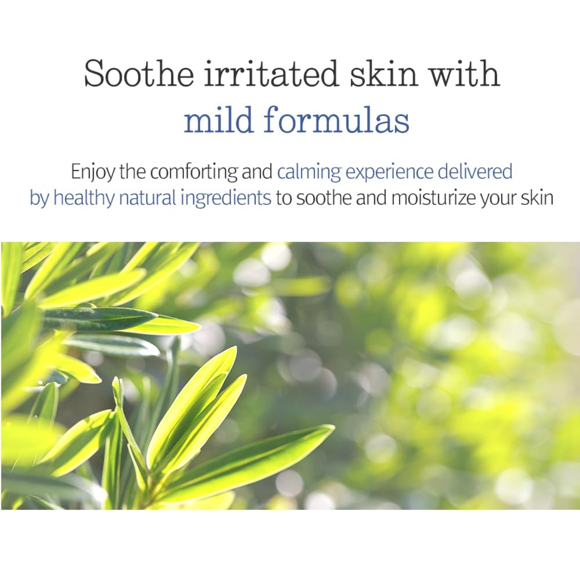 Hair & Body Travel Kit