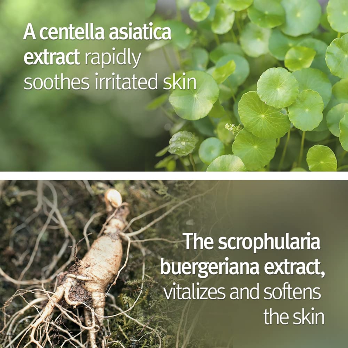 Quick Moisturizing Professional Hand Cream