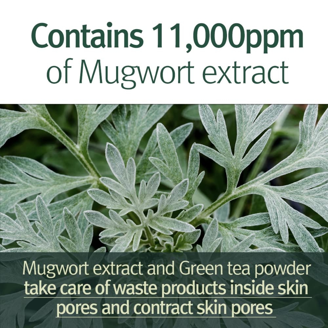 Calming Pore Clear Wash Off Pack