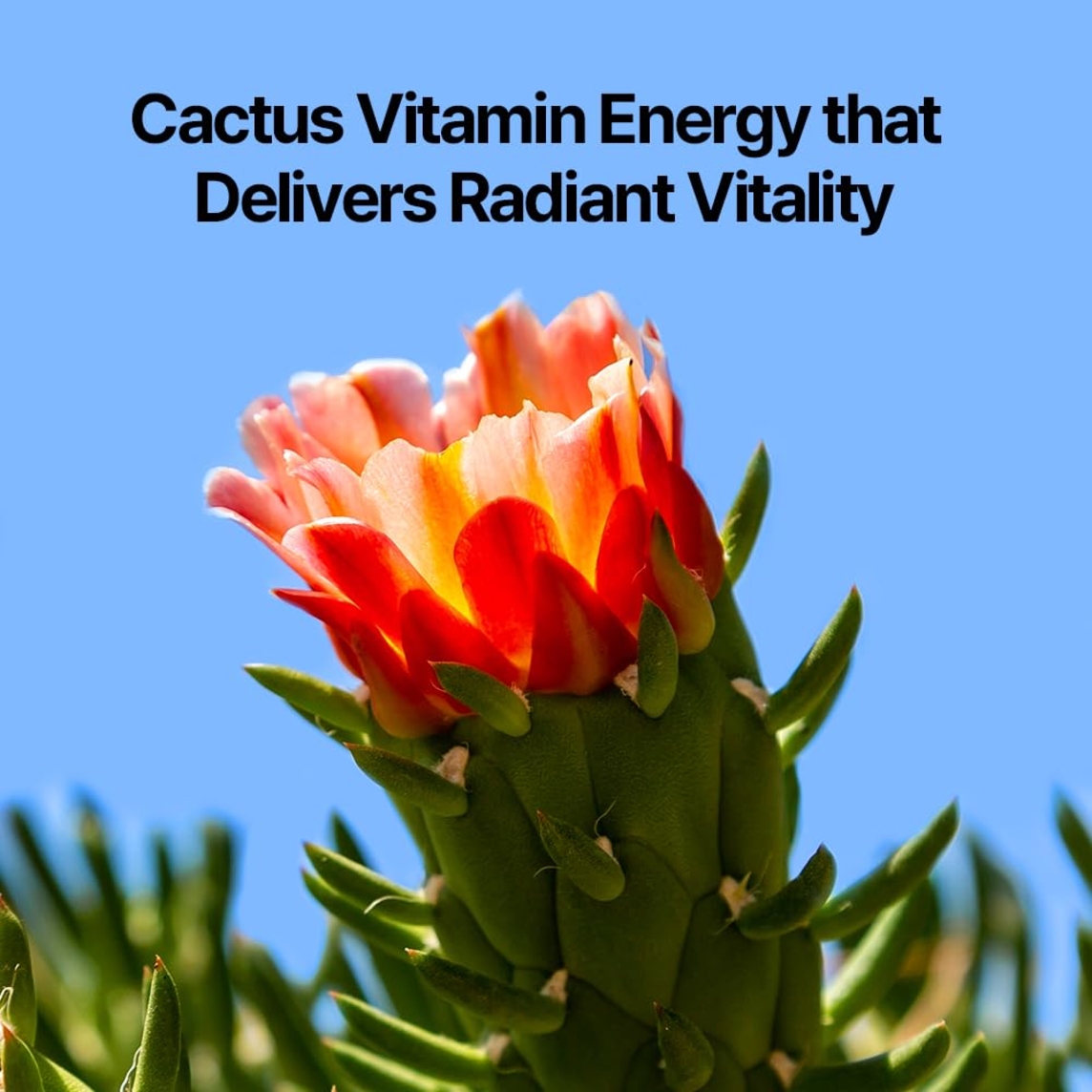 Hand Cream Dancheong