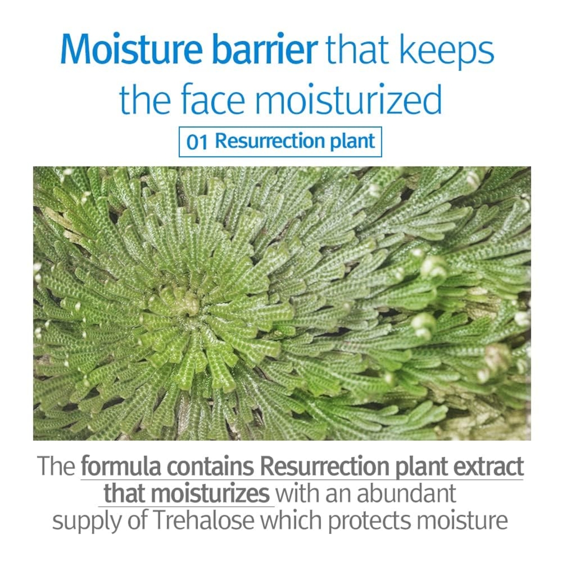 Kids & Baby Lotion Sweet Orange