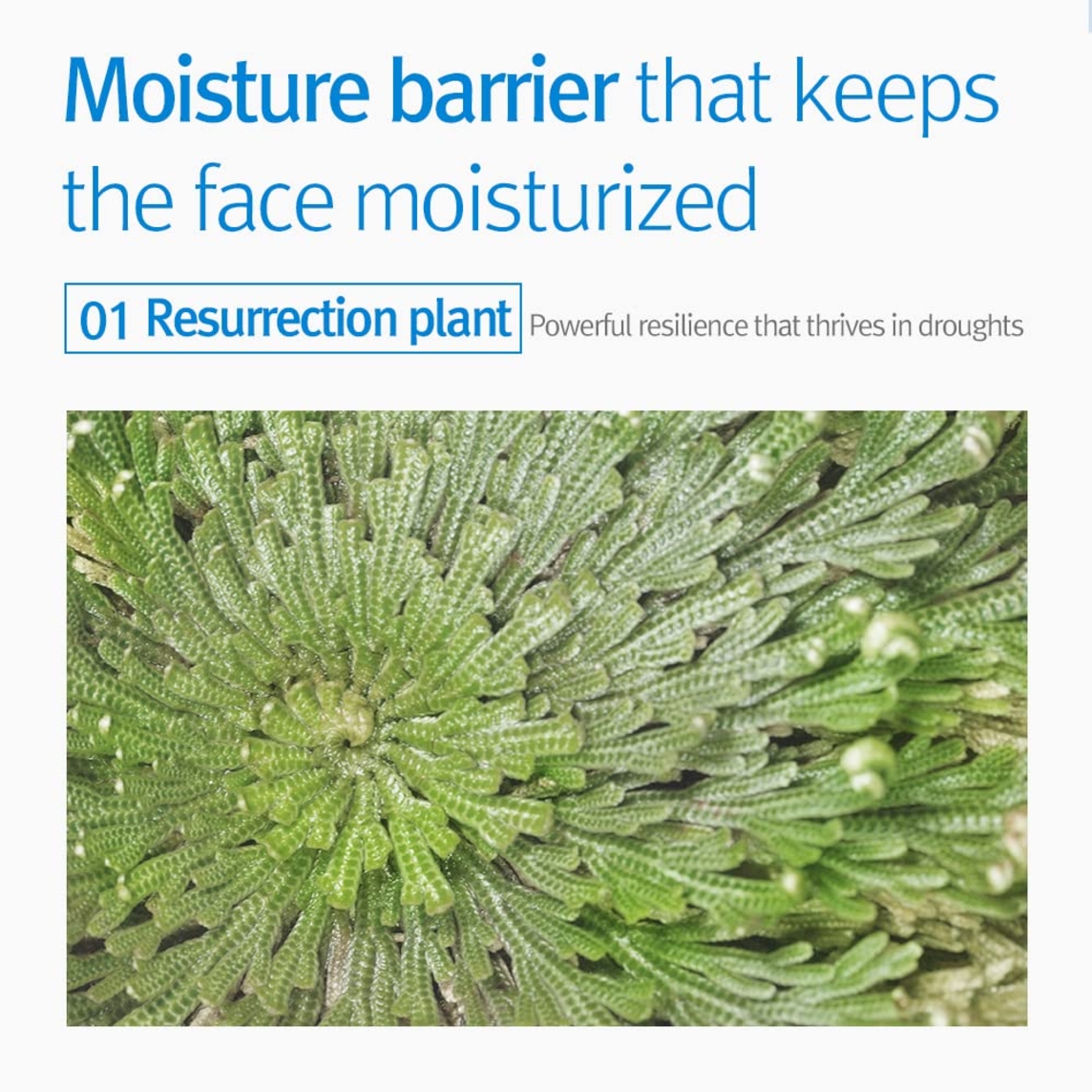 Kids & Baby Wash Sweet Orange