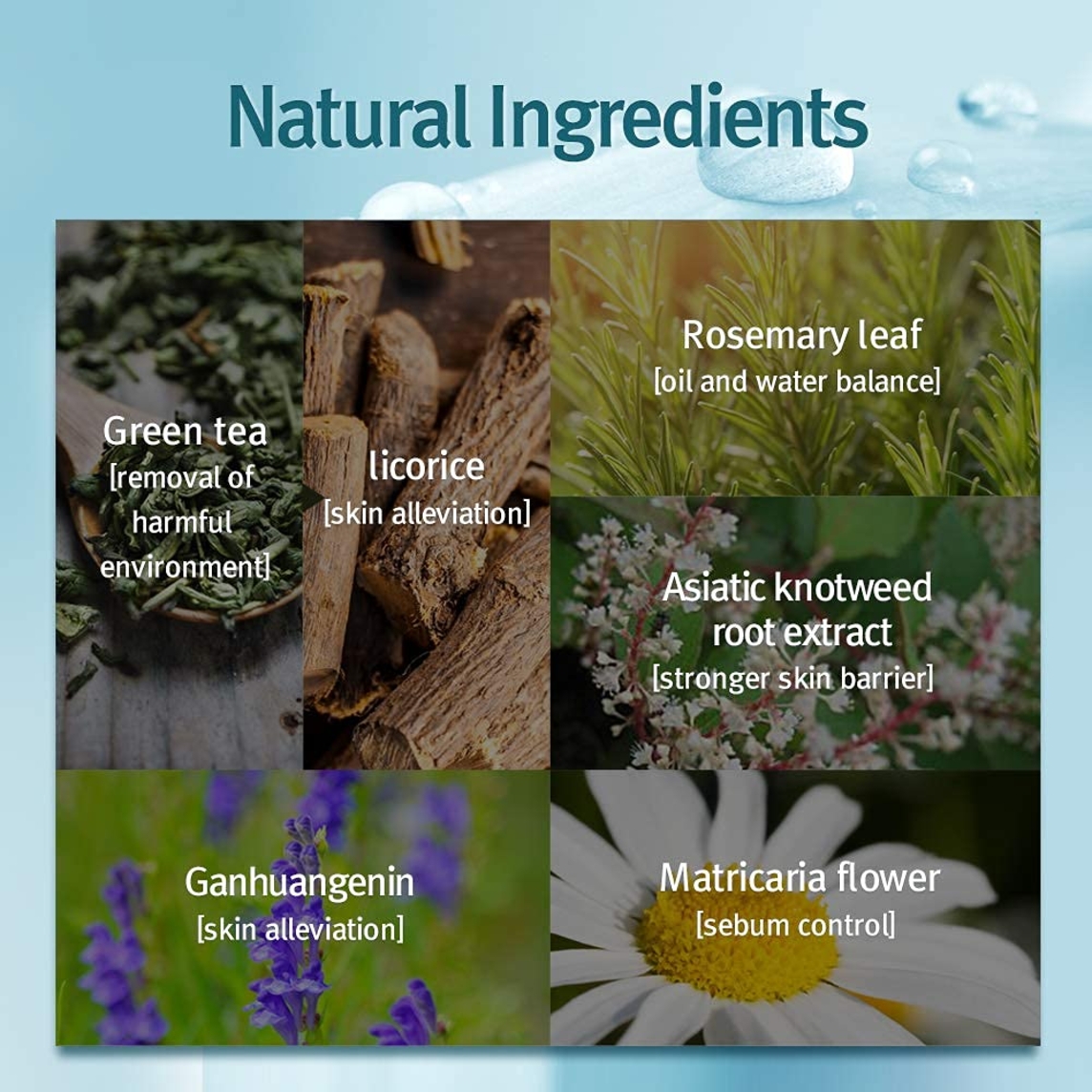 ACNE Facial Cleanser