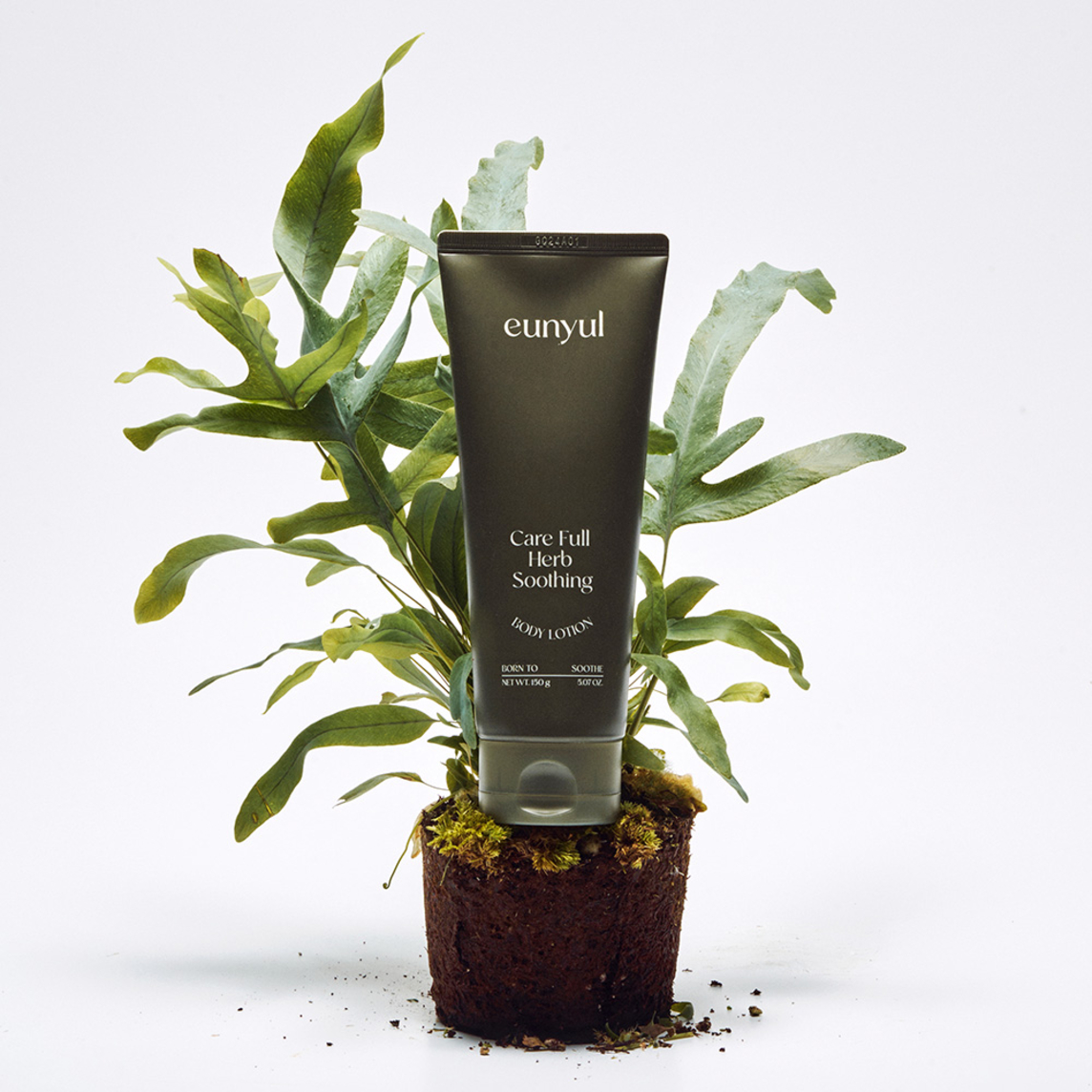 Care Full Body Lotion