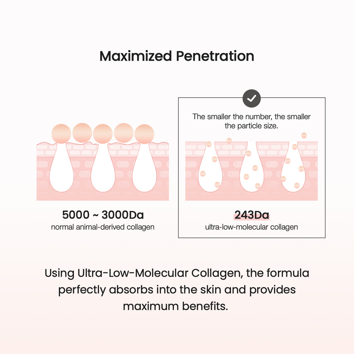 Pore Tightening Collagen Cream 50ml