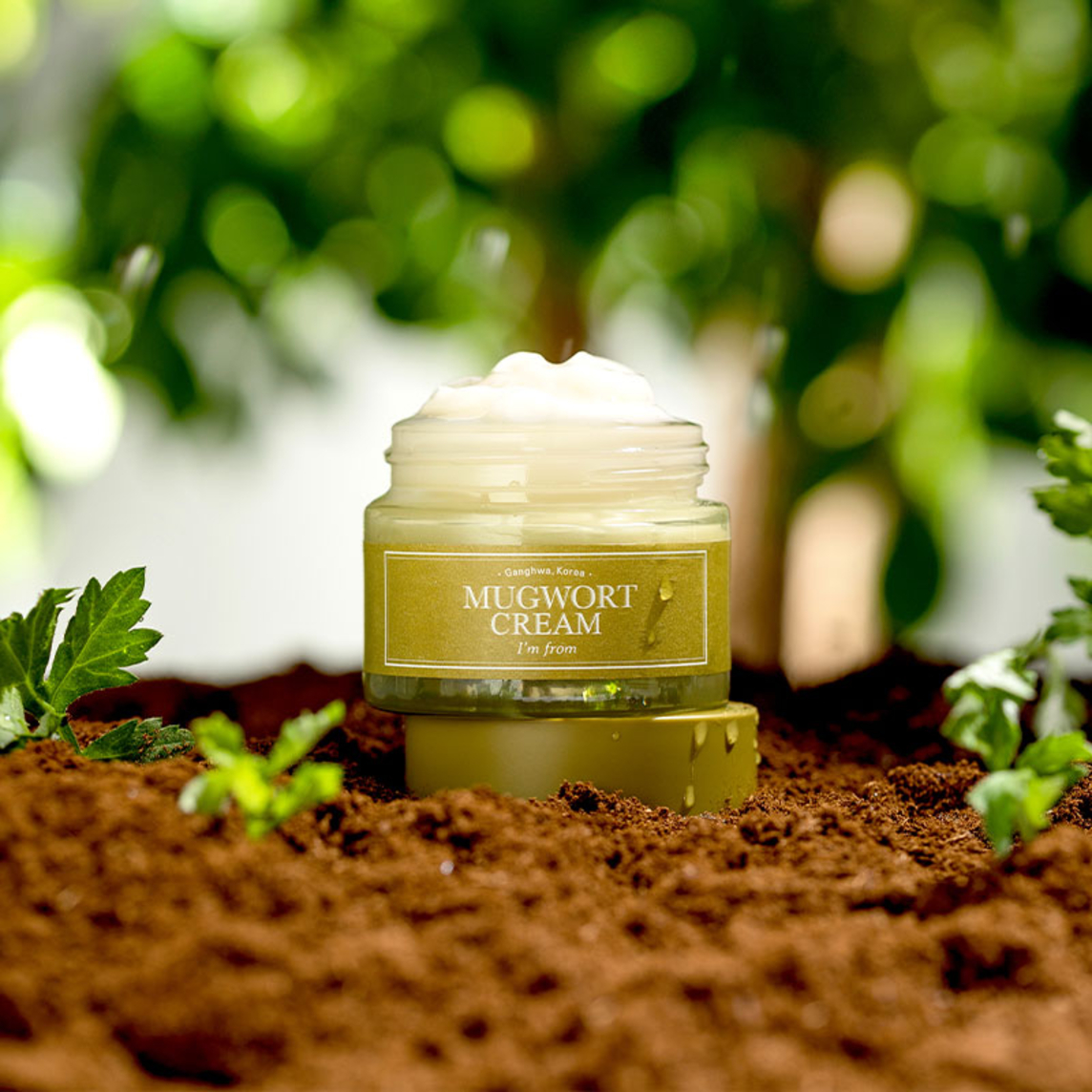 Mugwort Cream 50ml