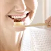 Heritage Toothpaste
