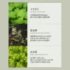 Houttuynia Cordata 88 Soothing Serum
