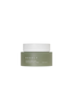 Cicachid Relief Cream