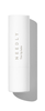 Tint Lip Balm
